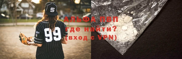 гидра Кодинск