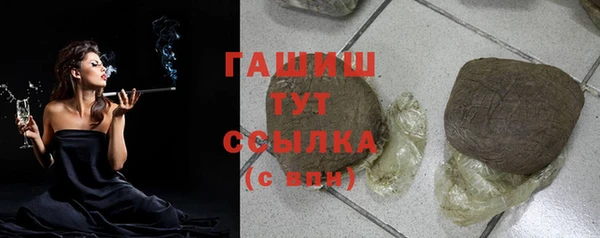 гидра Кодинск