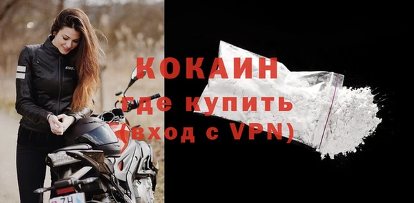 гидра Кодинск