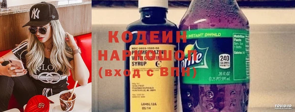 гидра Кодинск